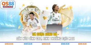 Cá Cược Bóng Đá - Săn Kèo Đỉnh Cao, Rinh Thưởng Cực Mau