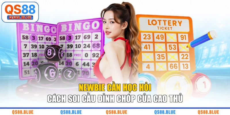 Newbie cần học hỏi cách soi cầu đỉnh chóp của cao thủ